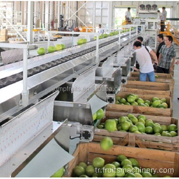 Otomatik Meyve ve Sebzeler Fotoelektrik Sıralama Makinesi